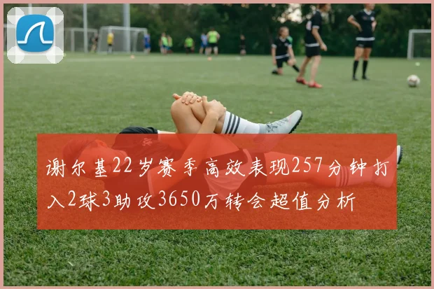 谢尔基22岁赛季高效表现257分钟打入2球3助攻3650万转会超值分析