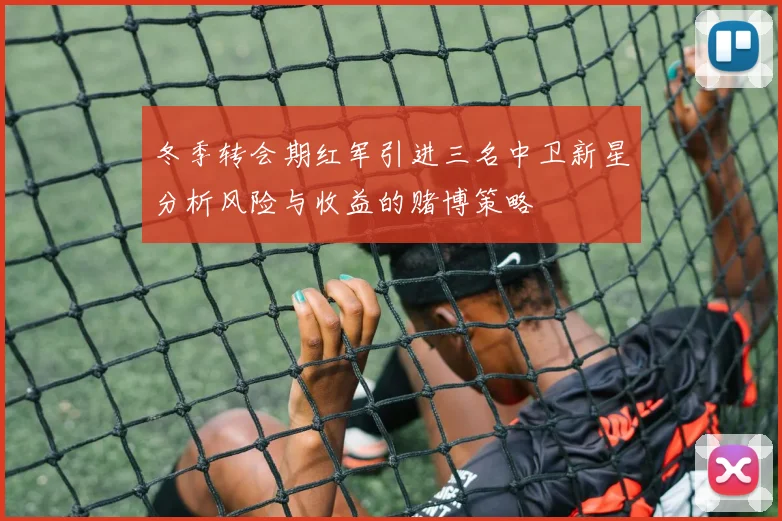 冬季转会期红军引进三名中卫新星分析风险与收益的赌博策略